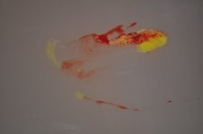 DSC_0278.JPG
