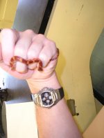 reptile-pics 271.jpg