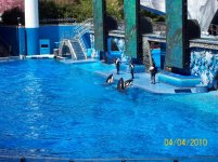 sea world 6.jpg