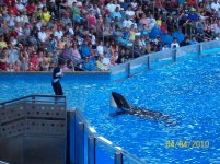 sea world 7.jpg
