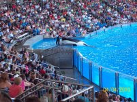 sea world 8.jpg