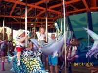 sea world 11.jpg