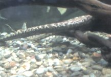 1-11-09_1251.jpg