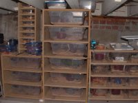 mic. 008 (Small).jpg