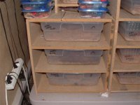 mic. 006 (Small).jpg