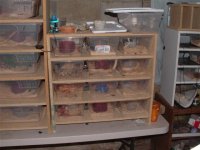 mic. 007 (Small).jpg