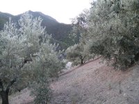 8a.JPG