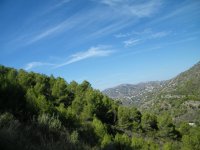 16a.JPG