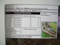 Cage Card.jpg