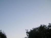 80a.JPG