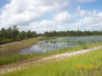 pond 600.jpg