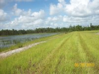 pond 600a.jpg