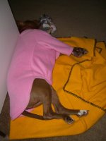 Bella's Sweater_800.jpg