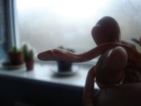 Snake 002.jpg