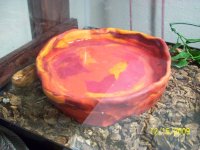 Water bowls 2.jpg