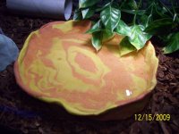 Water bowls 5.jpg