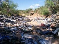 az04.jpg