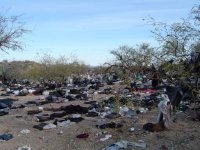 az06.jpg