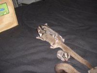 CIMG0811.jpg