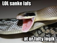 lolcat962307a8a20bb47a244c5f0c7fc1fc64df3fcf4d.jpg