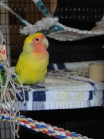 DSC_0577.JPG