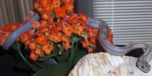 Denny10 090406 U.jpg