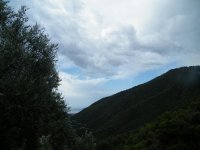 9a.JPG