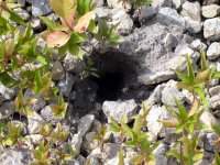 hole5.jpg