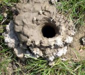 hole.jpg