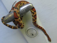 Eleora 6-12-10 (713 x 541).jpg