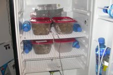 Incubator.jpg