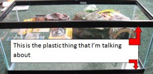 Untitled.jpg