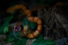 DSC_9896.jpg