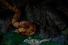 DSC_9892.jpg