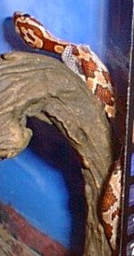 image002.jpg