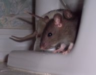 100_11081111.jpg