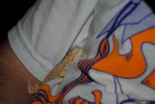 dsc_0636.jpg
