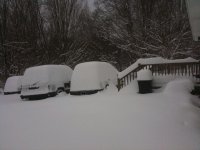 122009 snow.jpg
