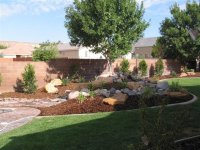 Back Yard.JPG