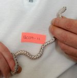 Forum BC09-11 01.jpg