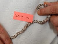 Forum BC09-15 01.jpg