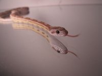 2010_02150004.JPG