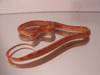 2010_02150005.JPG