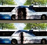 bus_ad_shark1.jpg