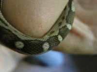 IMG_3269.JPG