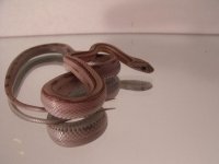 2010_02150042.JPG