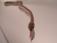 2010_02150044.JPG