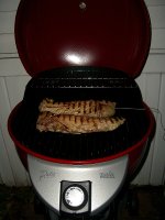 New Grill Feb 2011 003.jpg