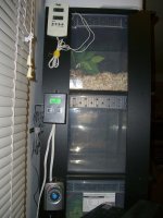 Backup Thermostat.jpg