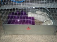 DSC03266.JPG